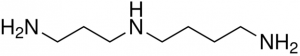 spermidine